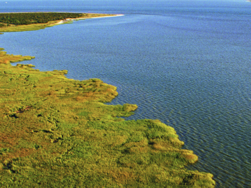 An image from the Georgia Wetlands Toolkit.